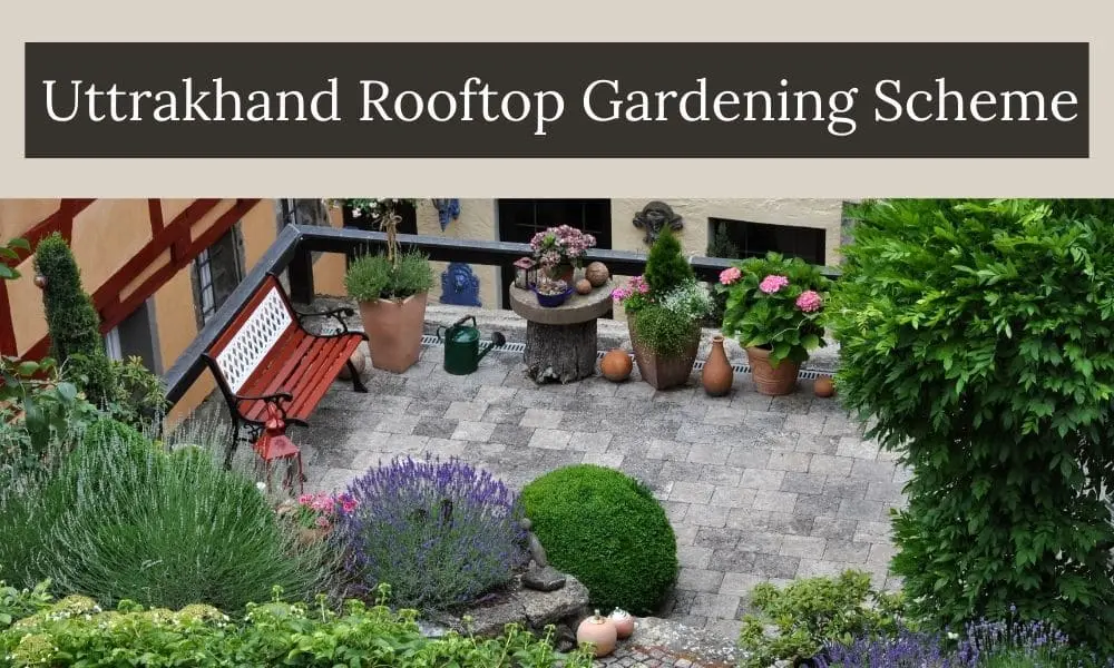 Uttarakhand Rooftop Gardening Scheme