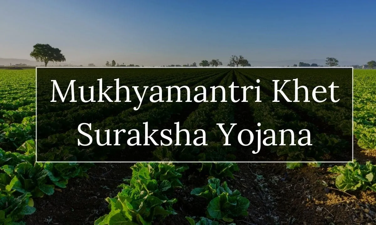 Mukhyamantri Khet Suraksha Yojana